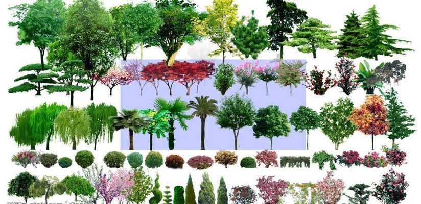 汝南县 城市公园为群众幸福生活“加码”