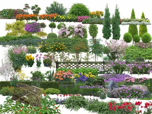 泰安市园林绿化管理服务中心：提升绿化景观 迎接登山盛会