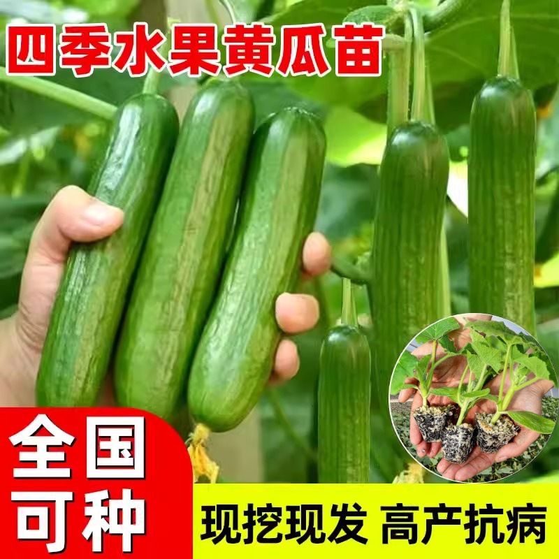 2019-2023年互聯網+苗木行業運營模式及市場前景研究報告