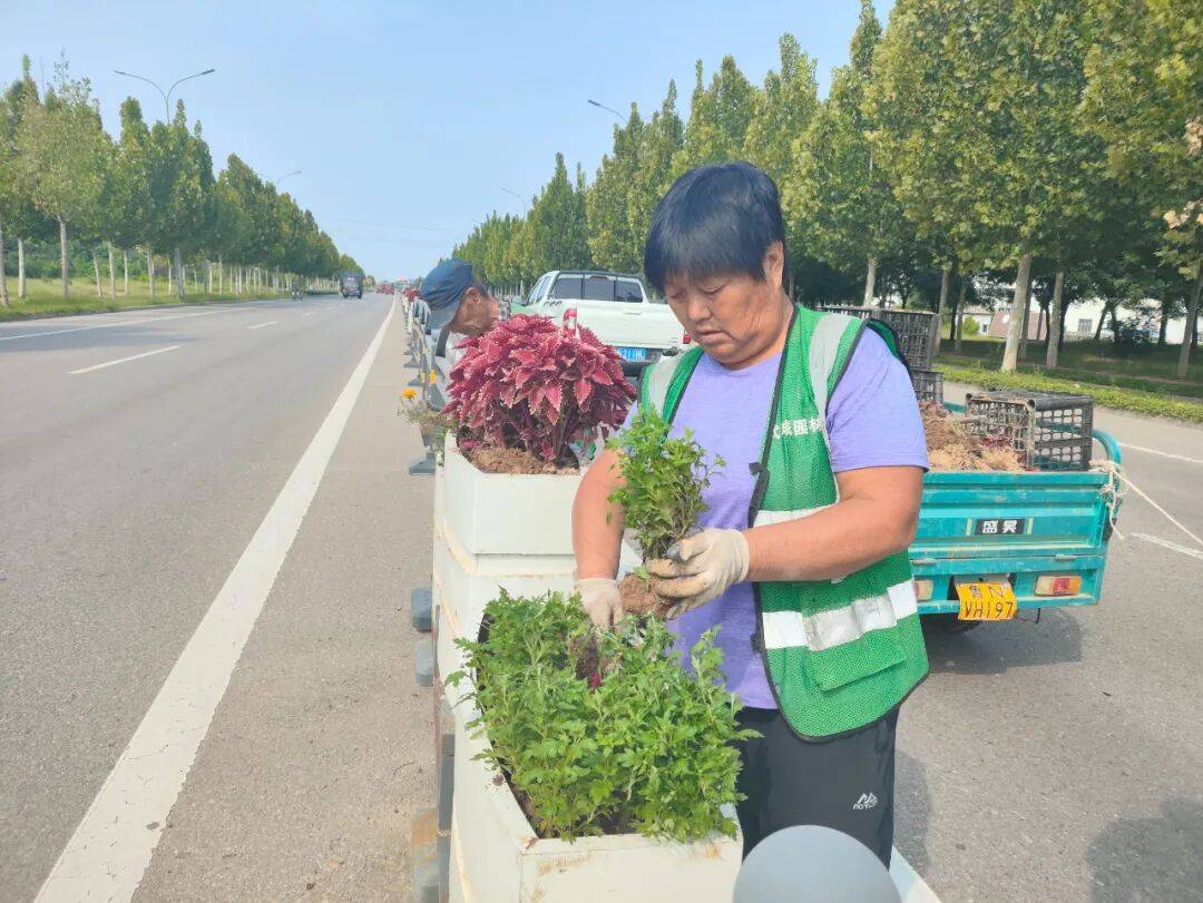 精致县城建设武城园林在行动