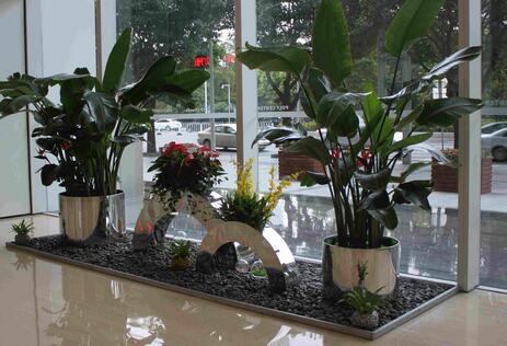 浅谈什么是绿植租赁租摆